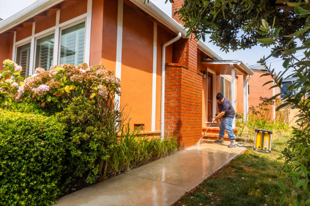 Best Affordable Pressure Washing  in Lemmon, SD